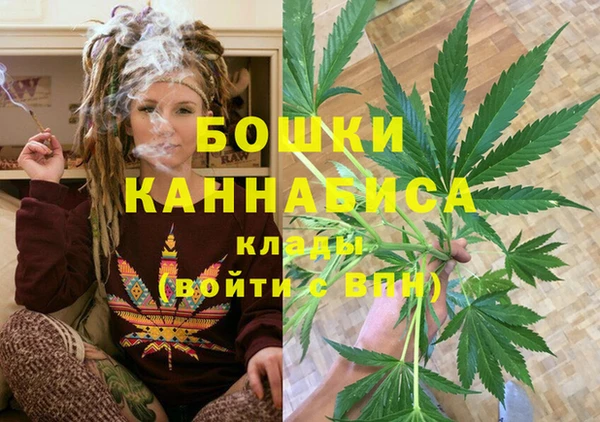 мдпв Ветлуга