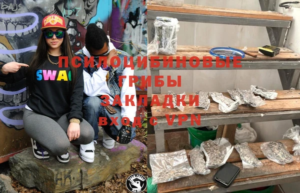 мдпв Ветлуга
