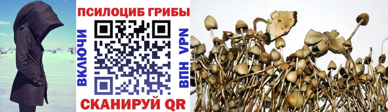 Галлюциногенные грибы мухоморы  Лыткарино 